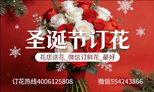 ���ݴﴨ������